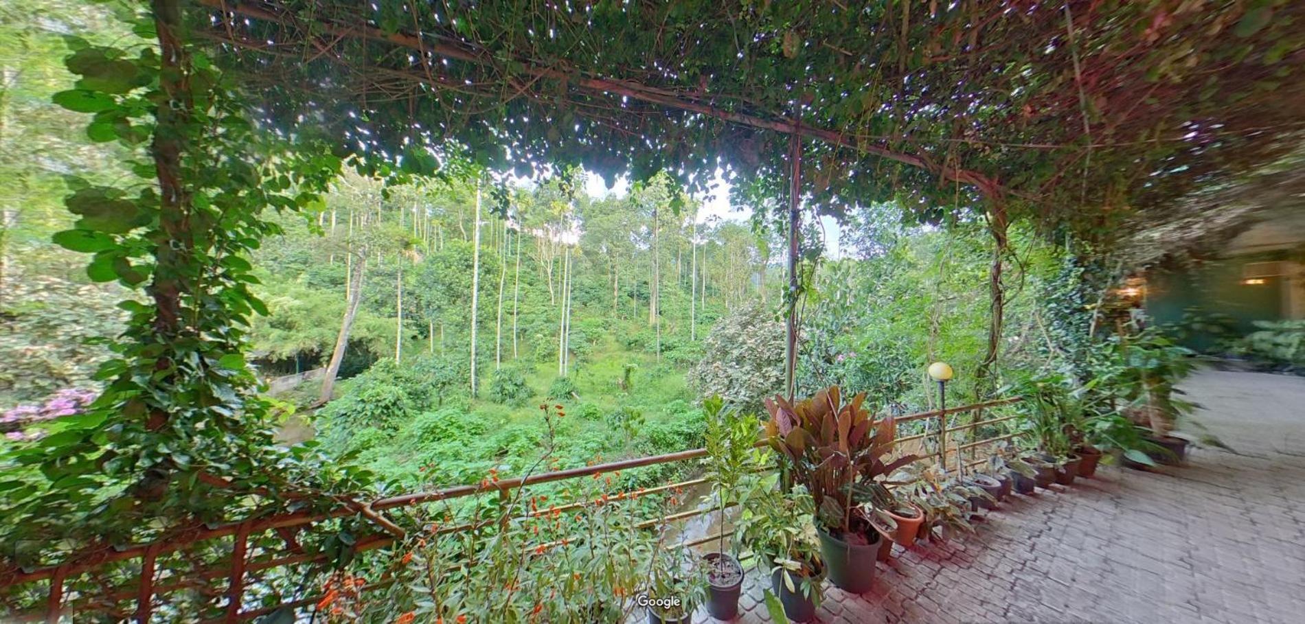 Bed and Breakfast Wayanad Royal Stream Kalpatta Exteriér fotografie
