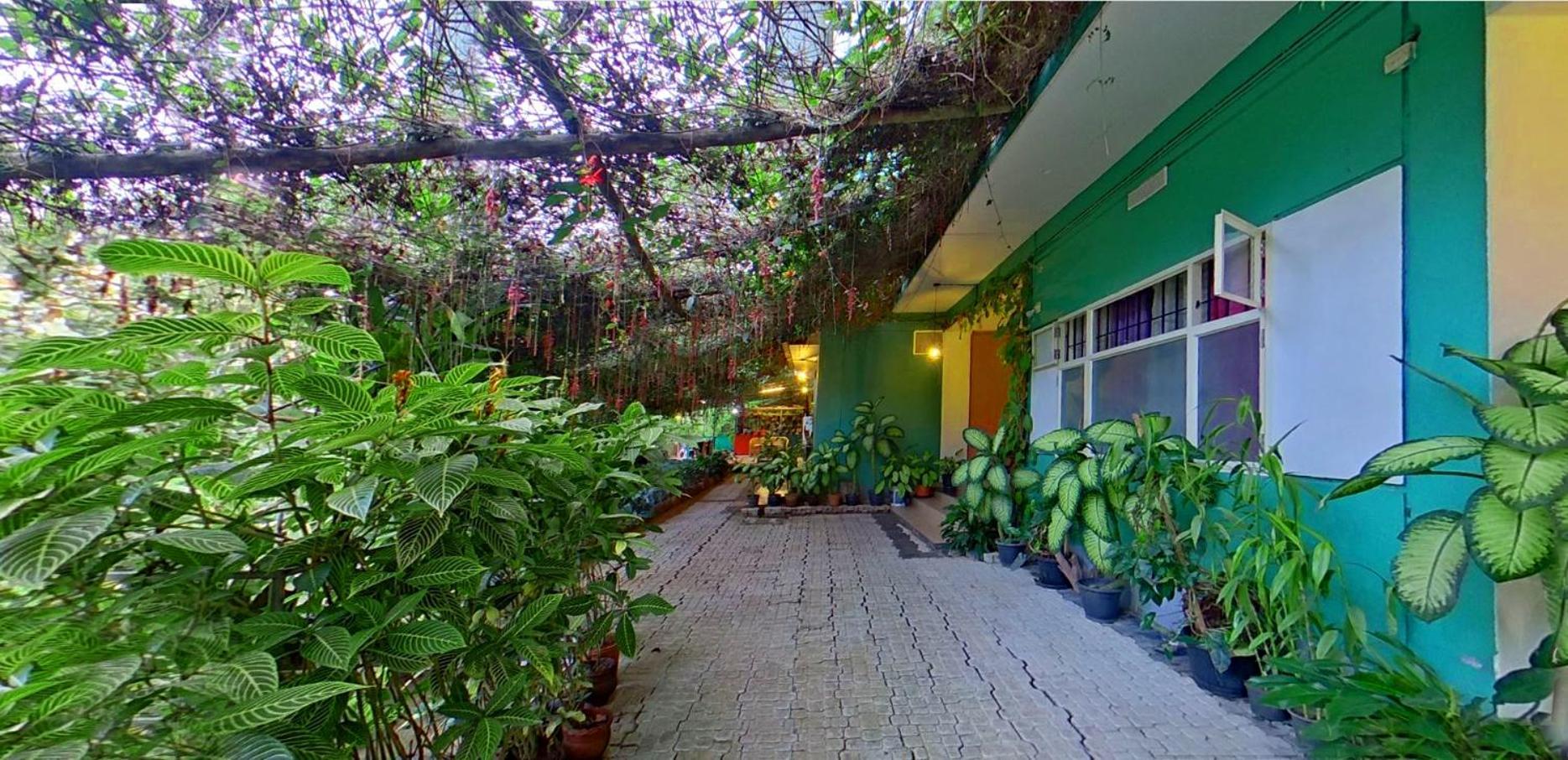 Bed and Breakfast Wayanad Royal Stream Kalpatta Exteriér fotografie